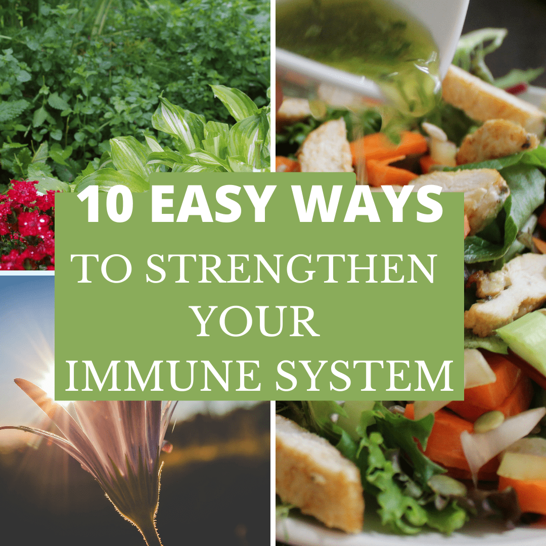 10 Easy Ways To Strengthen Your Immune System Mysty Pfeffer