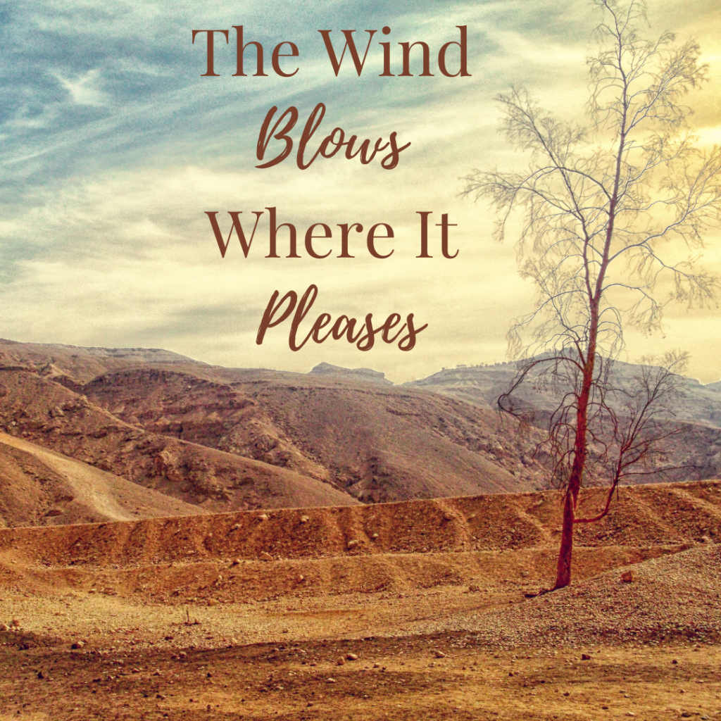 wind blows where it pleases