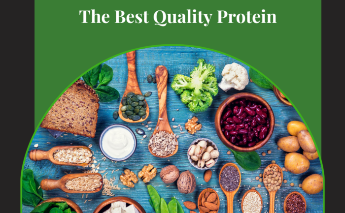 best protein