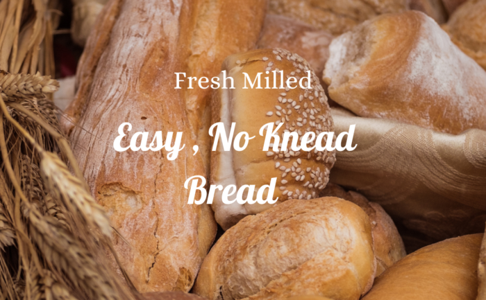 easy no knead bread