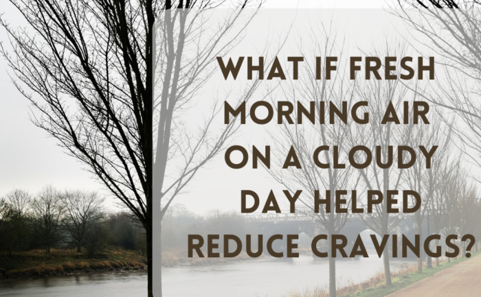 Enjoy Morning Light to Reduce Cravings