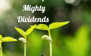 Stewardship Has Mighty Dividends