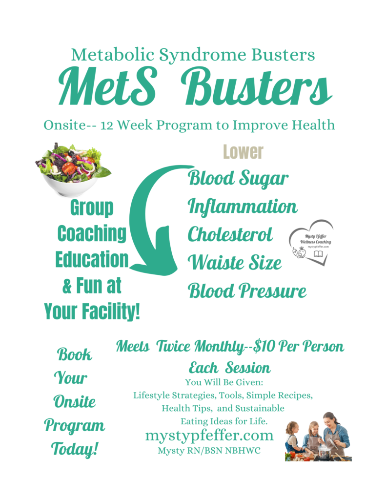 MetS Busters 12-Week Metabolic Syndrome Rehabilitation Program