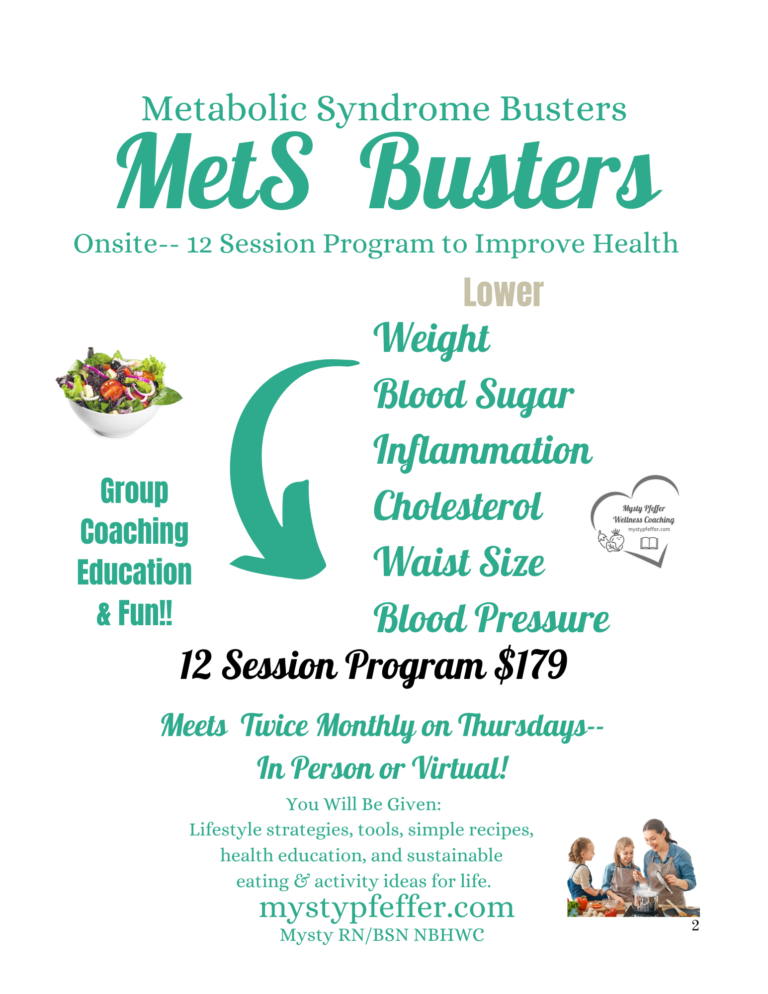 MetS Busters Flyer Price $179