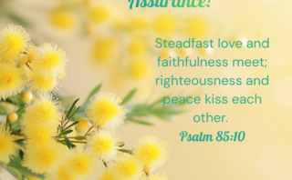 Scripture is Our Assurance for Decreasing Cortisol